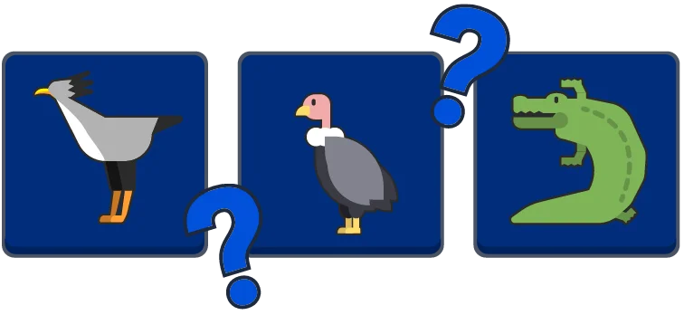 Daily Memory preview
