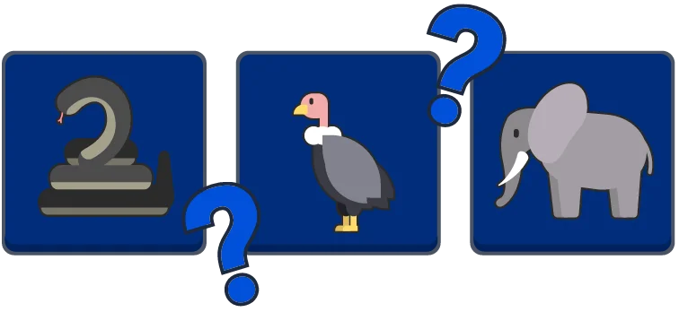 Daily Memory preview