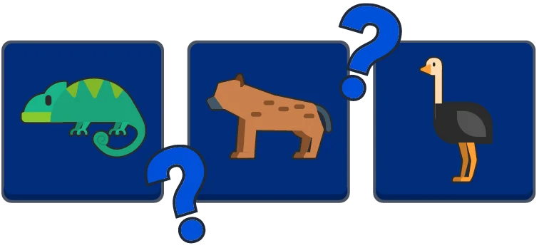 Daily Memory preview