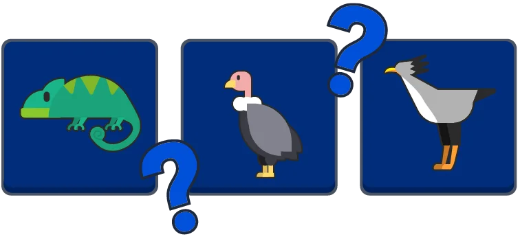 Daily Memory preview