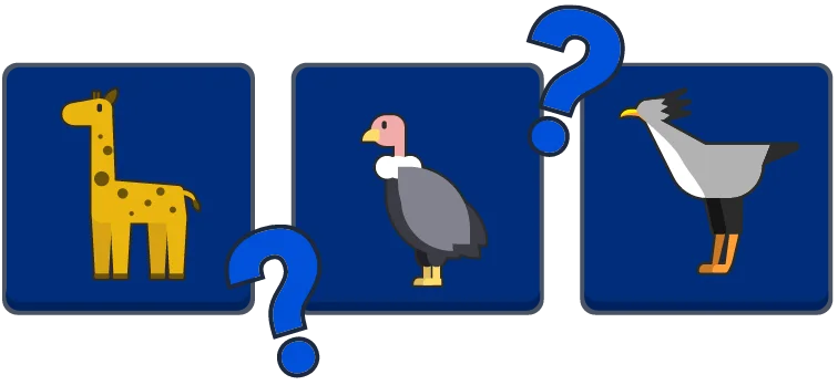 Daily Memory preview