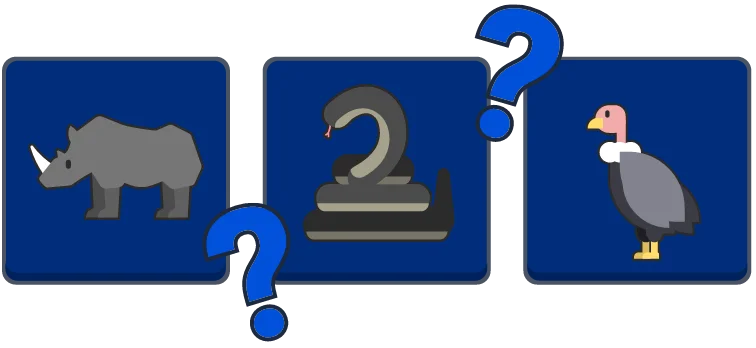 Daily Memory preview