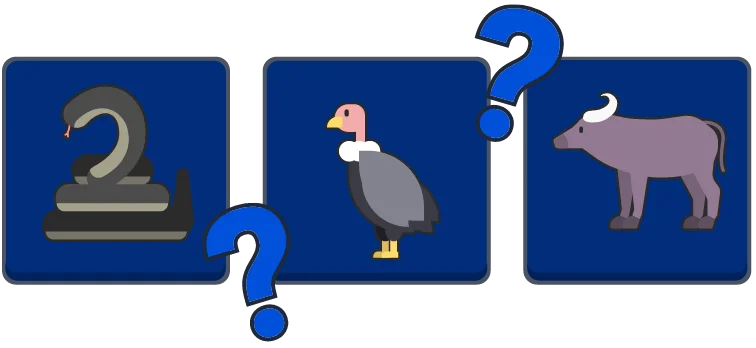 Daily Memory preview