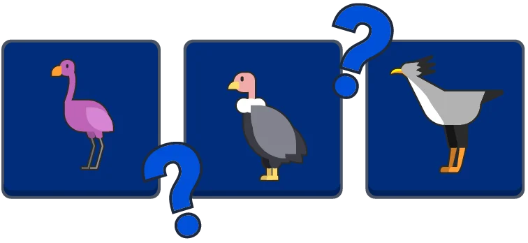 Daily Memory preview