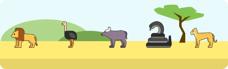 Safardle preview