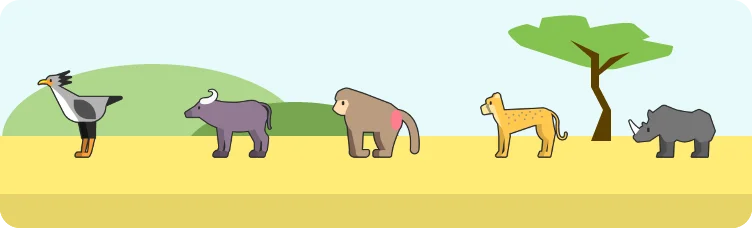 Safardle preview