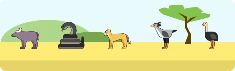 Safardle preview