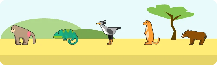 Safardle preview