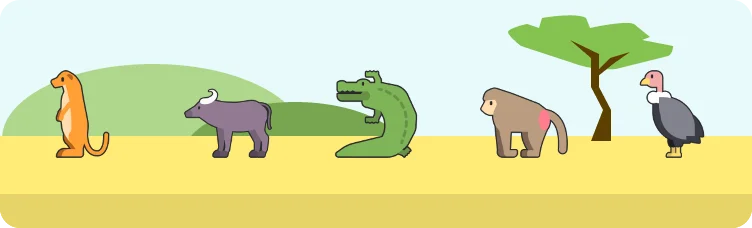 Safardle preview