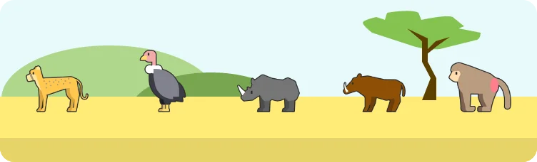Safardle preview