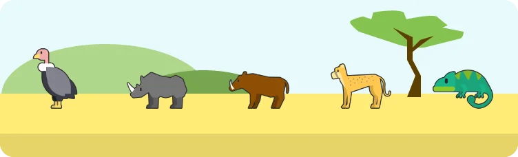 Safardle preview