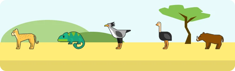 Safardle preview