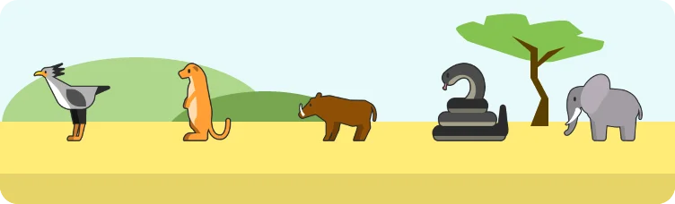 Safardle preview