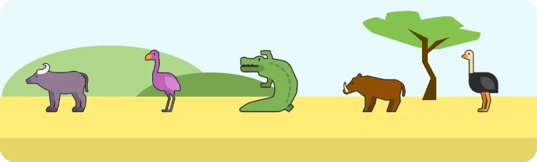 Safardle preview