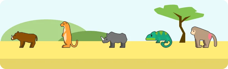 Safardle preview