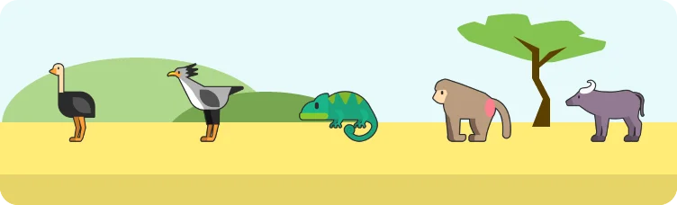 Safardle preview