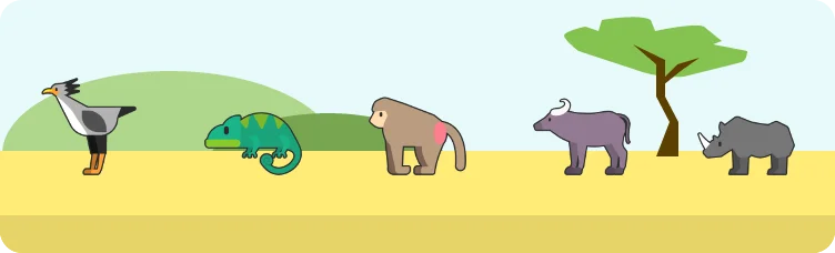 Safardle preview