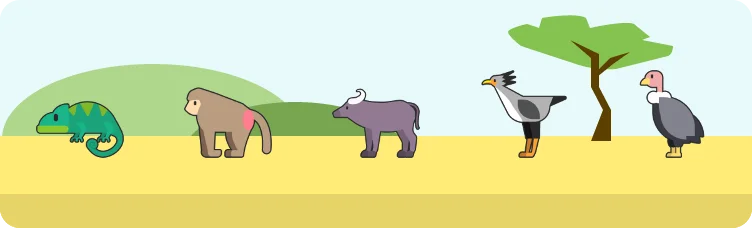 Safardle preview