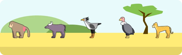 Safardle preview