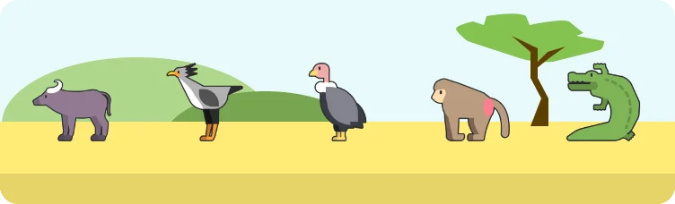 Safardle preview