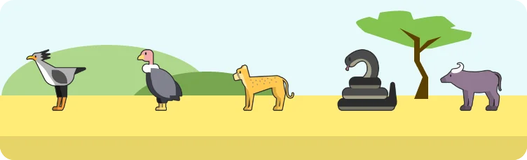 Safardle preview