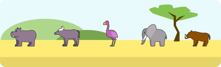 Safardle preview
