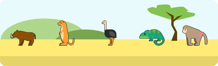 Safardle preview