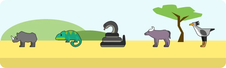 Safardle preview