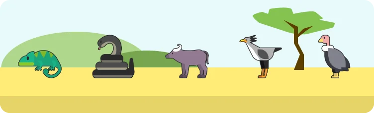 Safardle preview