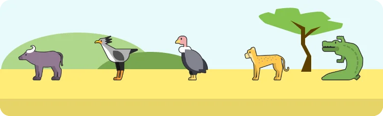Safardle preview
