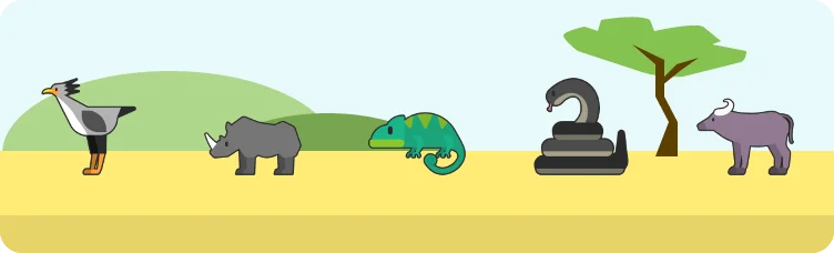 Safardle preview