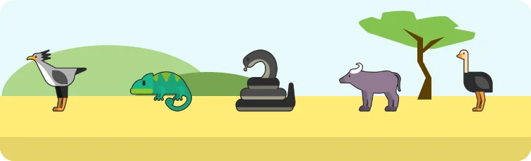 Safardle preview