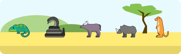 Safardle preview