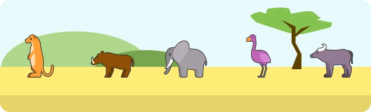 Safardle preview