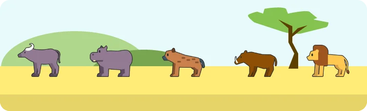 Safardle preview
