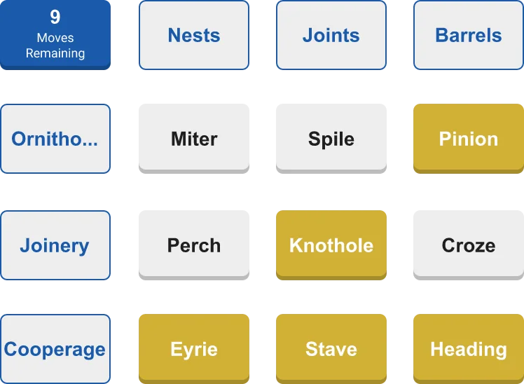 Sortee preview